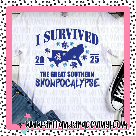 I Survived the Great Southern Snowpocalypse